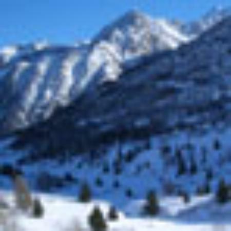 Hotel Shanmuga Bhavan Restaurant